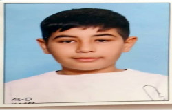 محمدعلی الف خانی