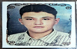 امیرمحمد میرزائی