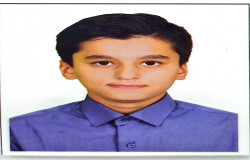 امیرپارسا معینی