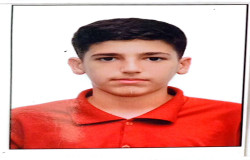 امیر حسام صانعی