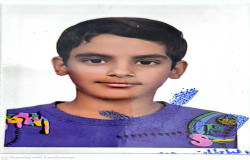 امیرمهدی سبحانی نیا