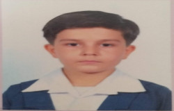 رادوین میرمحمدی