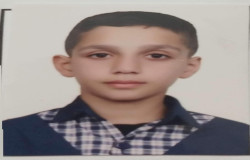 سید مجتبی کسائی