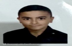 امیرعلی هوشمند