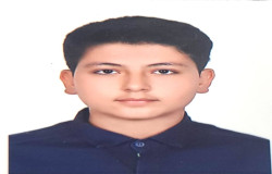 امیر یاسین حسنلو