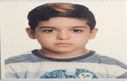 آرمین شاهی پودینه