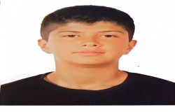 مهدی محمدی