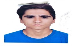 امیر محمد طلائی