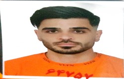 مصطفی روهنده