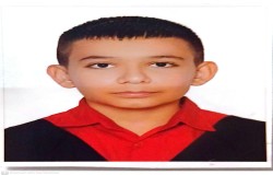 امیر مهدی عباسی