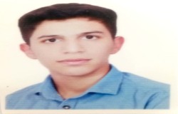 امیرمحمد پیری