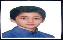 بردیا شامحمدی
