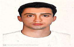 پرهام محمدی