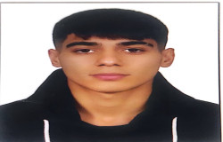 محمدرضا احمدی