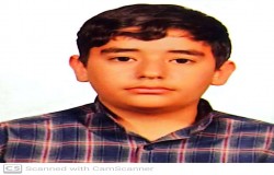 مجتبی شکرانه