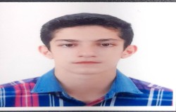 پارسا سلمان نژاد