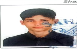 محمد مهدی نهاردانی