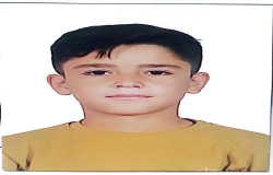 امیرعلی بیات