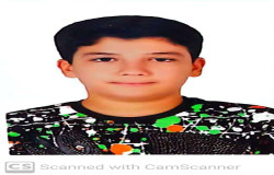 امیرحسین آذرتاش
