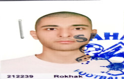 متین سرداری