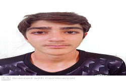 هویار نوری