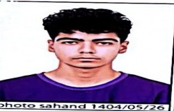 امین شریفی پیرجلی
