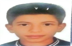 امیر رضا عباس زاده