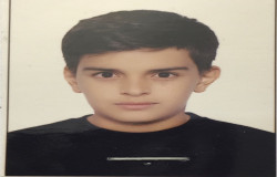 بهراد چاردولی