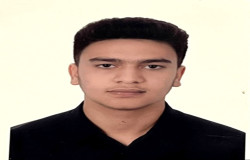 محمد امیر الربیعی