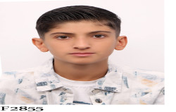 امیر ارسلان عباسی پرویز