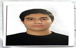 ایلیا قاسمی