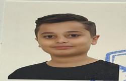 آریا برق گیر
