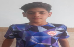 مهدی دالوند