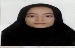 مهدیا نامی میاردان