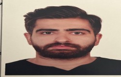 آرین حصیری