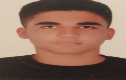 امیر علی کمندی