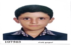 محمدشایان قره خانی