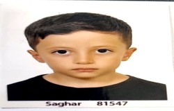 محسن بهارلو