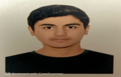 امیر دانشی