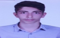 محمدحسین شایگانی