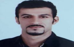 هادی شکوری