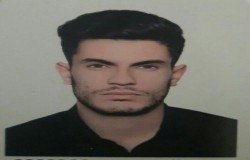 علیرضا گنجی