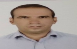 حامد مرتضوی