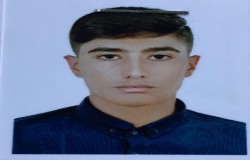 محمد ماهان ولایتی قمصری