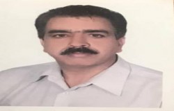 رضا حیدر