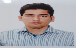 حسن وفائی نجات