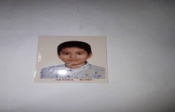 محمد رضا نقوی