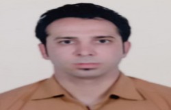 مهدی شاه وردی