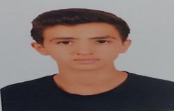 وحید گل محمدی