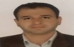 سید وحید سادات هدایی